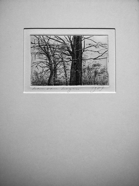 Han van Hagen: 'Bomen' -lijnets 1987- kopen? Bied vanaf 25!