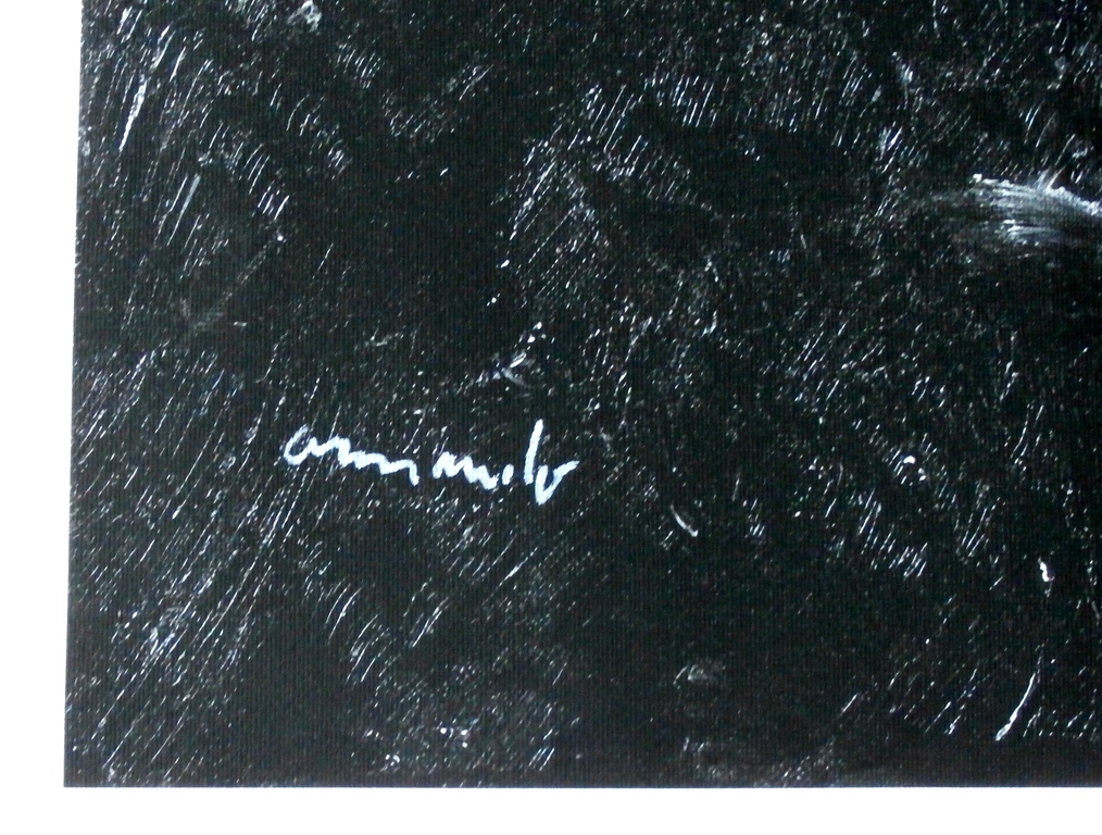 Armando - grote giclee op linnen: Landschaft - 2013 - oplage: 33 kopen? Bied vanaf 275!