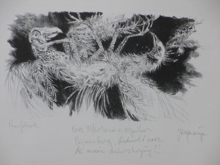 Jan Mensinga, Twee vreemde vogels, Litho verkocht voor € 45!