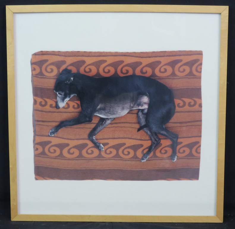 Maarten Wetsema: Foto op aluminiumplaat, Rik op kleed -Ingelijst verkocht voor € 35!