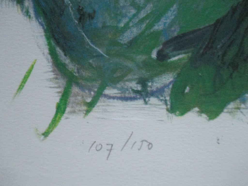 Annemarie de Groot, gelijste litho groot 1992 kopen? Bied vanaf 45!