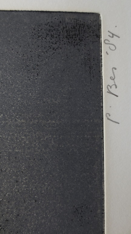 PETER  BES   ETS/AQUATINT    kopen? Bied vanaf 75!