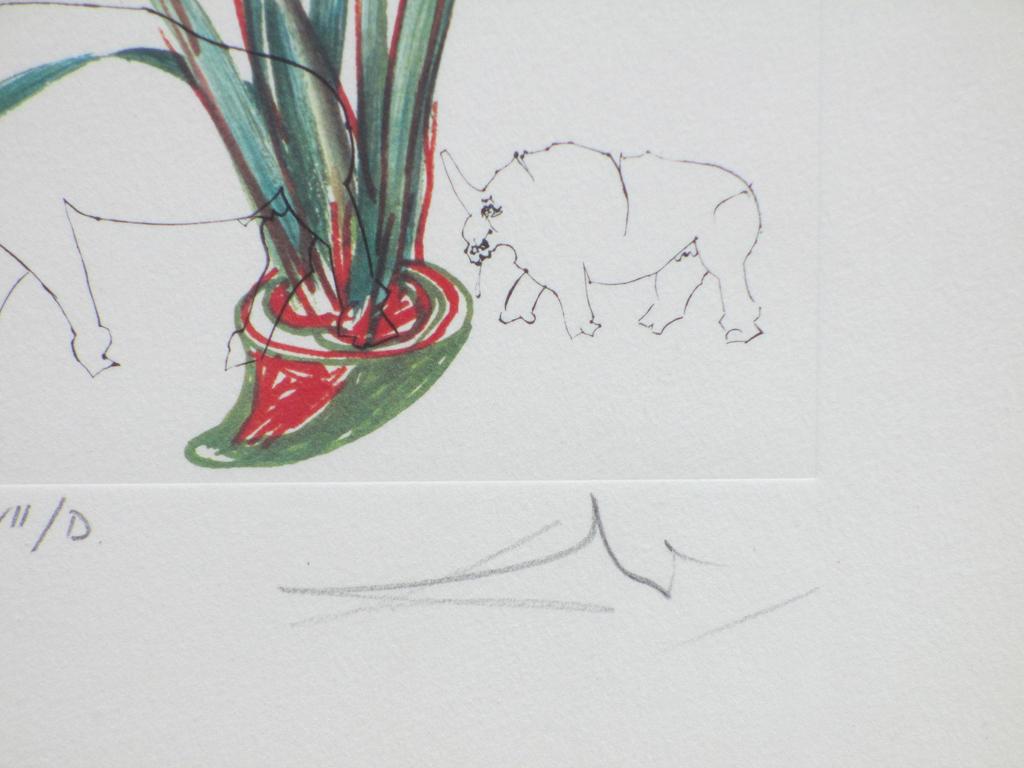 Salvador Dali, Le Lupin, Kleurets kopen? Bied vanaf 130!