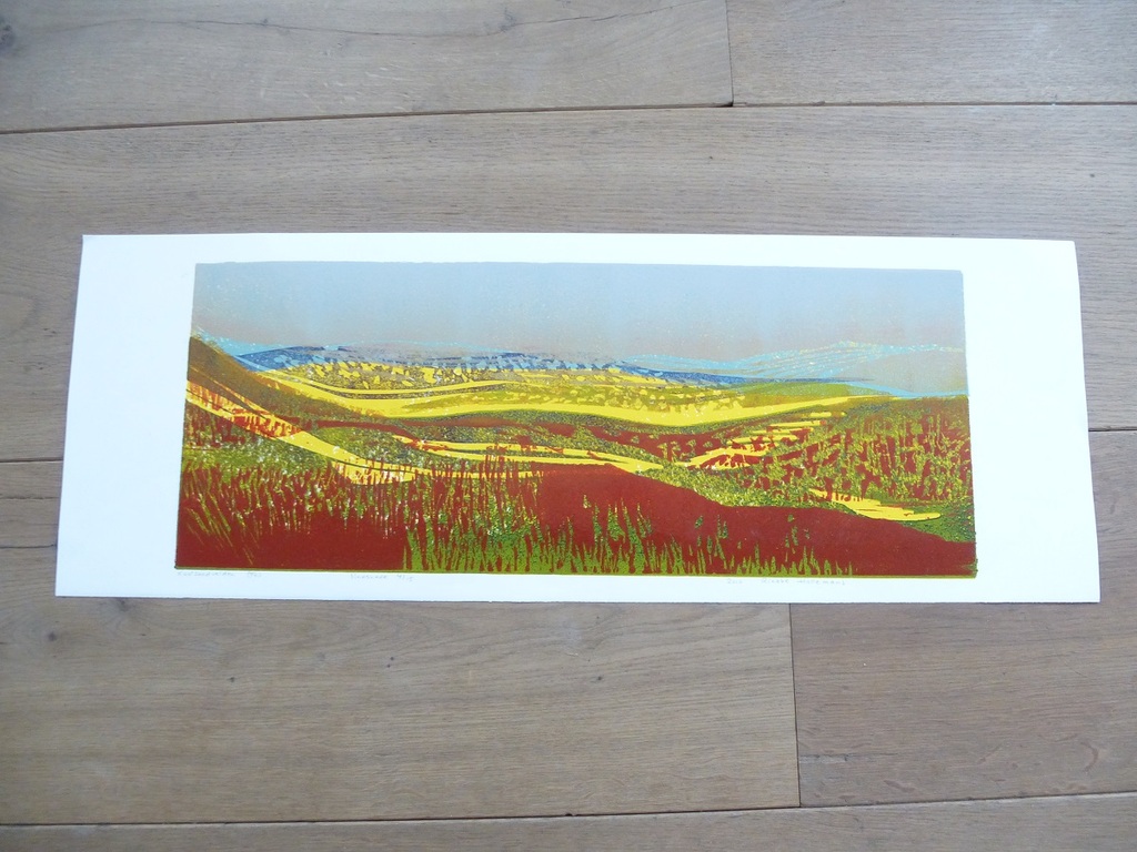 Rineke Hollemans, Linosnede: koolzaadvelden, 2010, handgesigneerd en genummerd. Oplage: 15 stuks kopen? Bied vanaf 75!