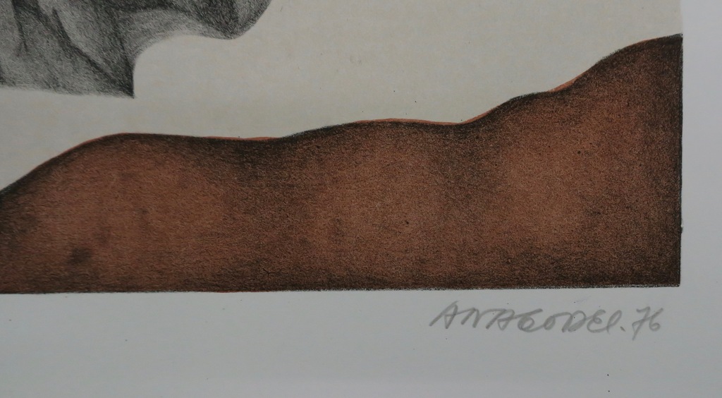 Ana Godel: Litho, Cahiers de Botanique kopen? Bied vanaf 1!