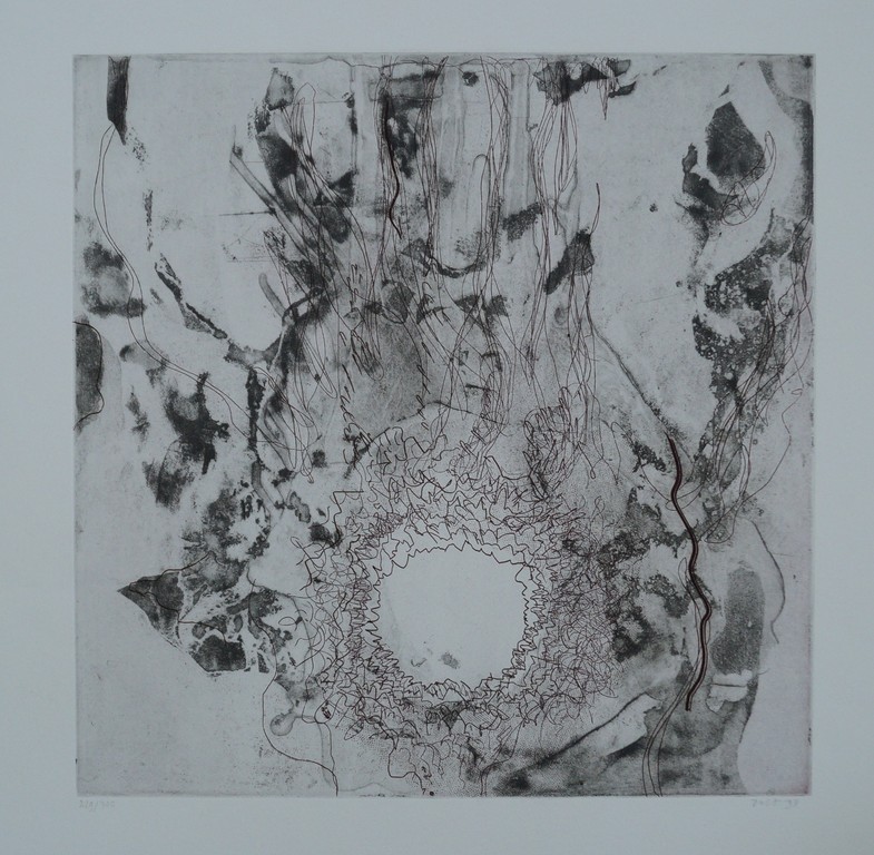 Marian Zult - gesigneerde ets - 1993 kopen? Bied vanaf 15!