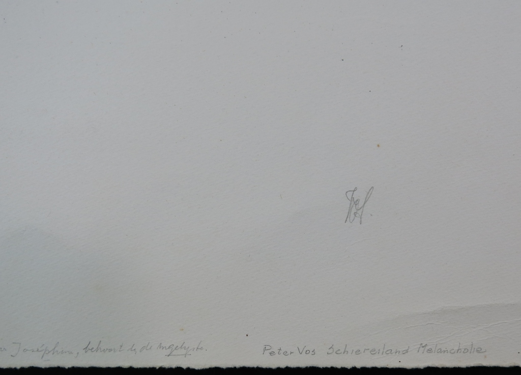 Peter Vos: Litho, Schiereiland Melancholie kopen? Bied vanaf 60!