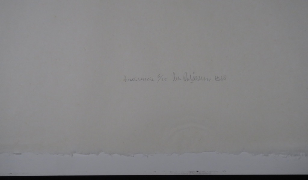 Cees Andriessen: Lino op Rijstpapier, Z.T. roze kopen? Bied vanaf 1!