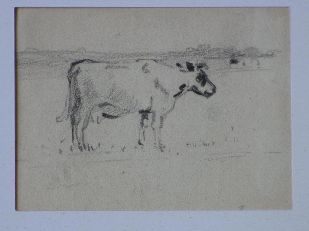 Jan van Essen, Staande koe, Tekening kopen? Bied vanaf 1!