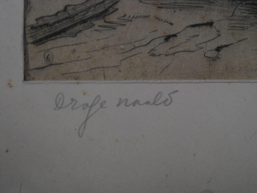 Vroege fraaie droge naald Duo Ets van de "Laatste Fauvist" Freek vd Berg   kopen? Bied vanaf 1!