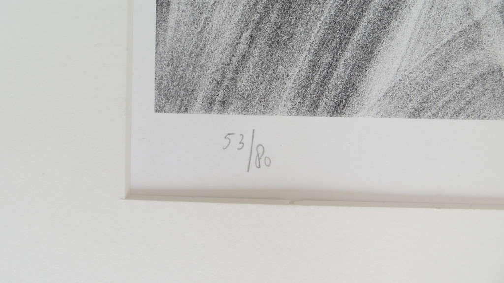 Beatrix 1 kopen? Bied vanaf 65!