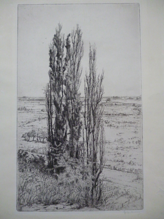 J.C.Nachenius-Ets-Gezicht op de Rijn vanaf de Wageningse berg verkocht voor € 35!