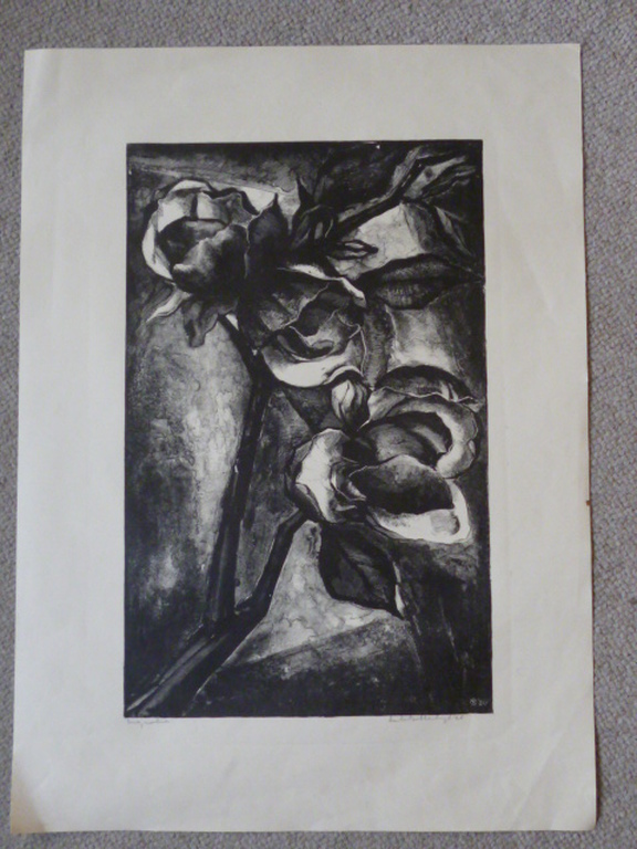 Aart van Dobbenburgh - litho - Magnolia kopen? Bied vanaf 50!