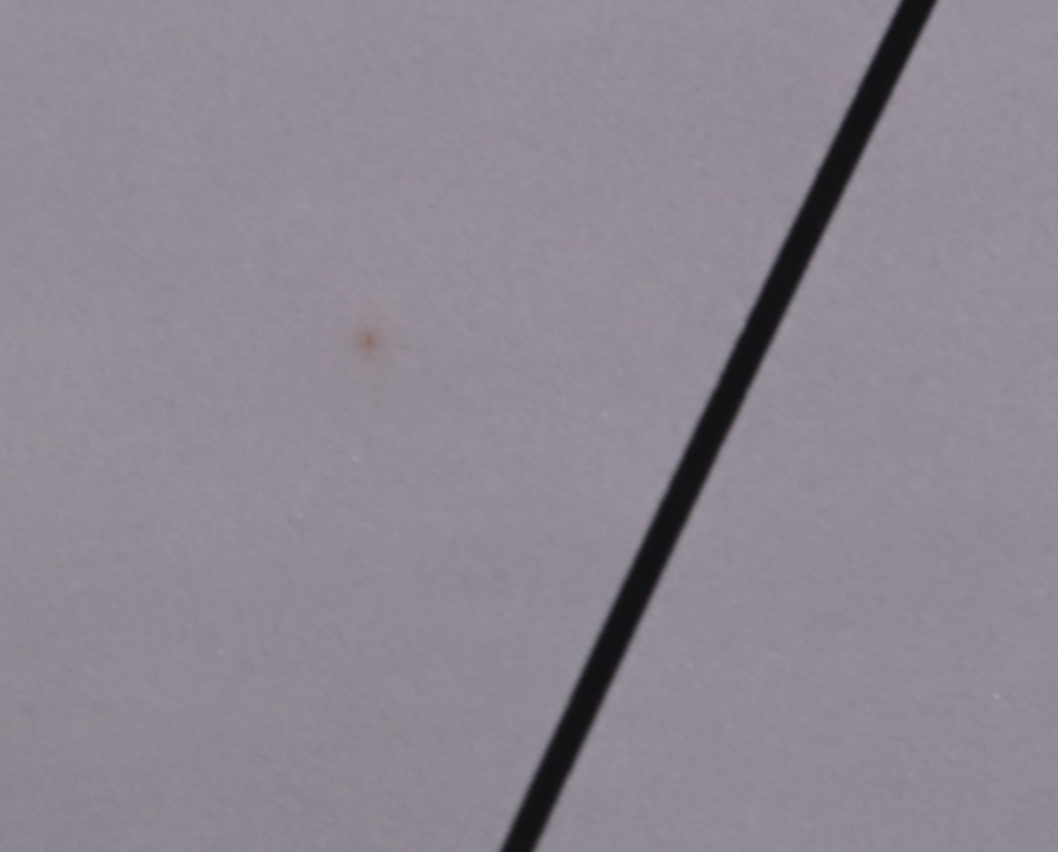 Hans van Meerwijk: Foto, Zonder titel kopen? Bied vanaf 1!