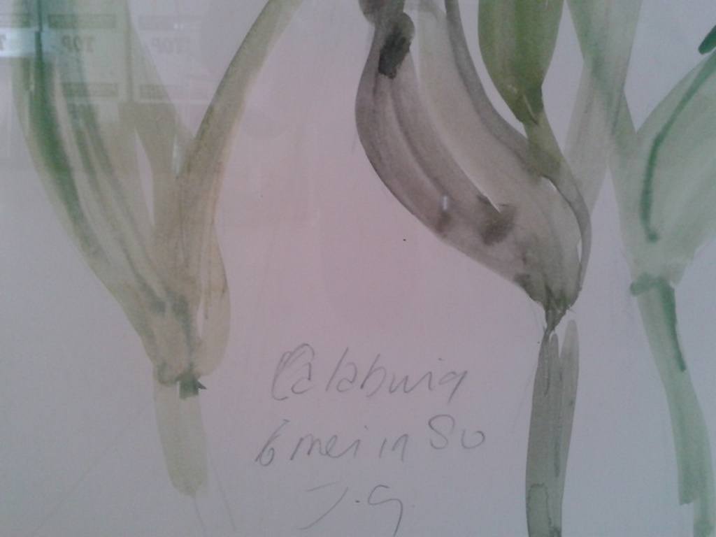 Joep Goeting aquarel  iris 1980  kopen? Bied vanaf 300!