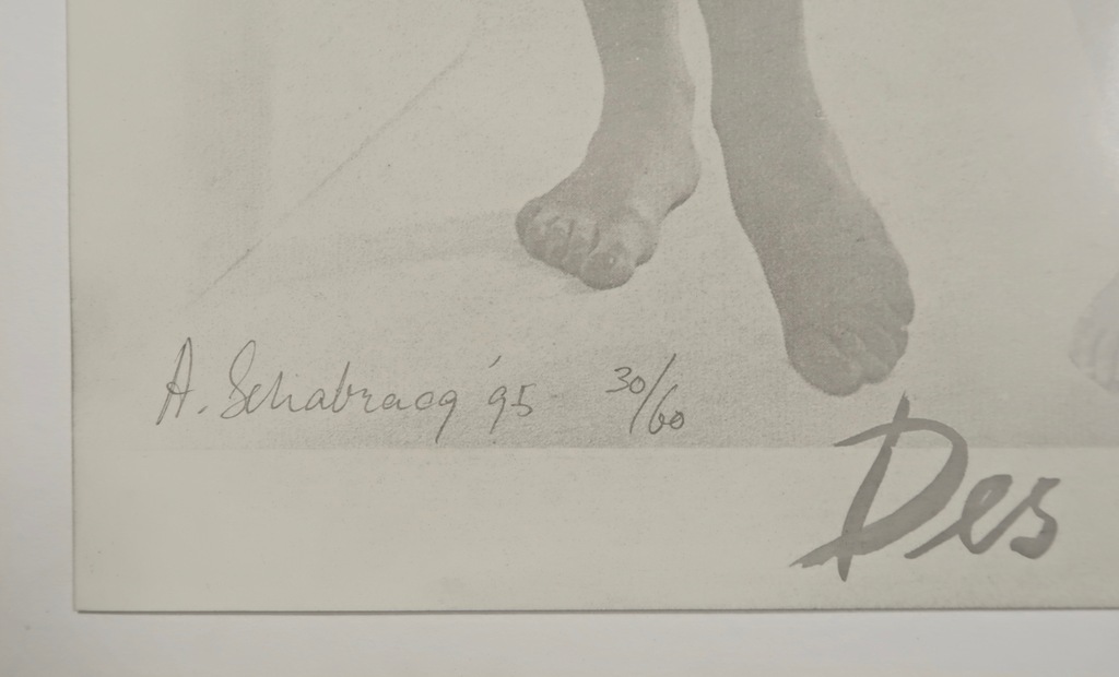 Alexander Schabracq: Grafietpoeder, Des femmes disparaissent kopen? Bied vanaf 20!