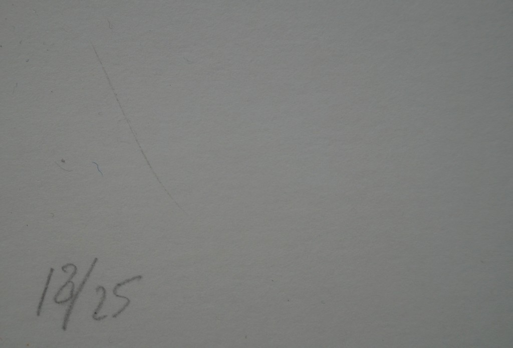 Rene Treumann - gesigneerde typografie  kopen? Bied vanaf 25!