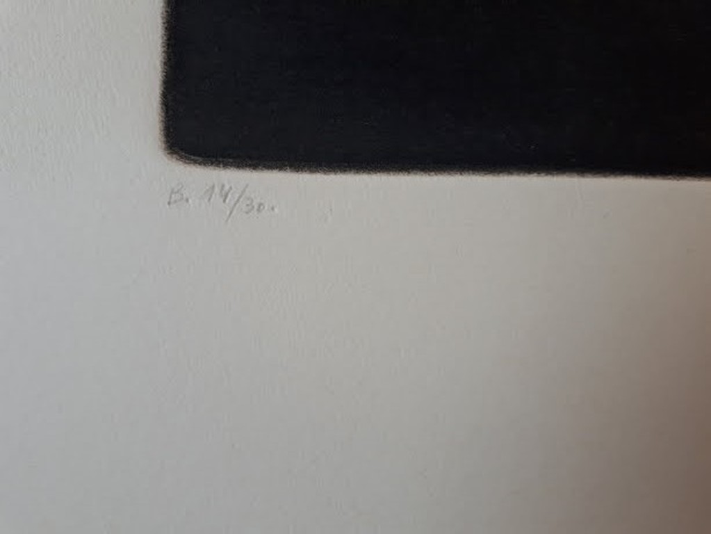 Jan Cox  ets, handgesigneerd en genummerd, oplage 30 kopen? Bied vanaf 110!