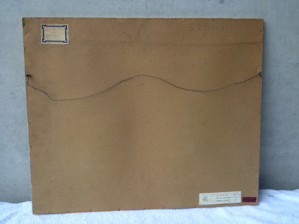 Jan van de Thillart - Handdruk litho 4/35 (45 x 33 cm) 1958 - Maaslandschap kopen? Bied vanaf 1!