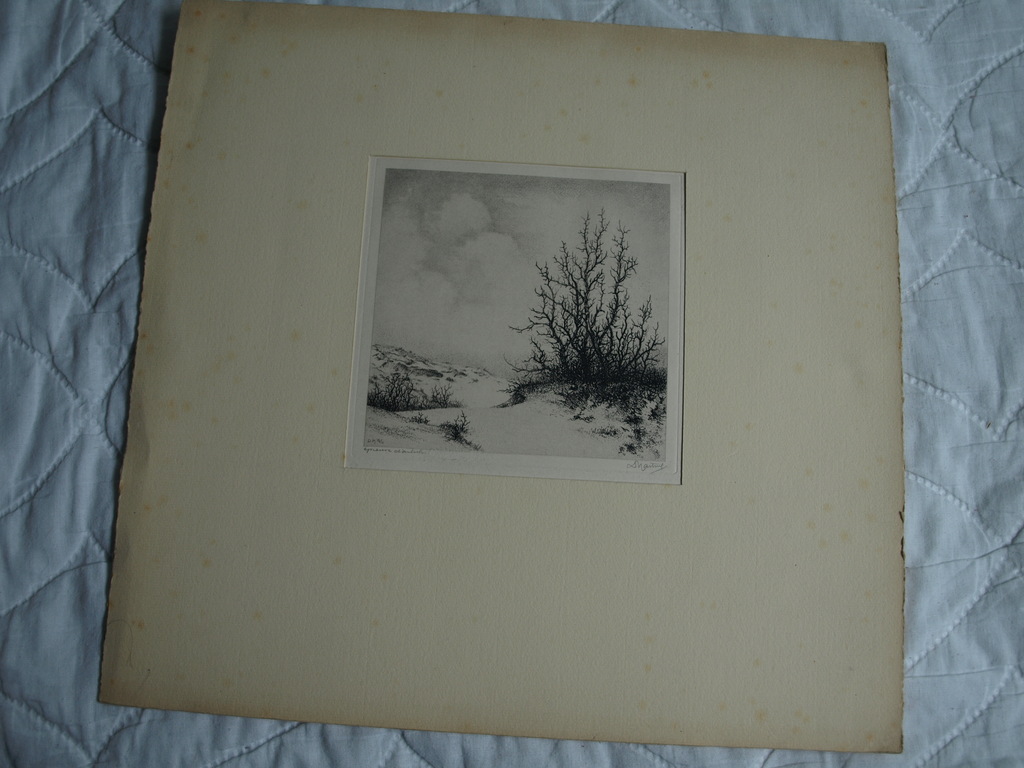 Dirk Harting (1884-1970) : Ets – Heesterplant – gesigneerd – 1946 kopen? Bied vanaf 1!