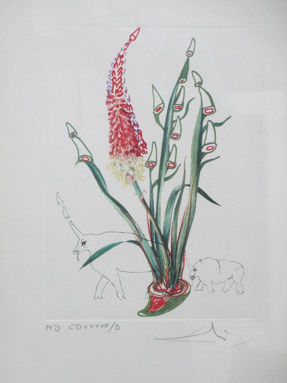 Salvador Dali, Le Lupin, Kleurets kopen? Bied vanaf 130!