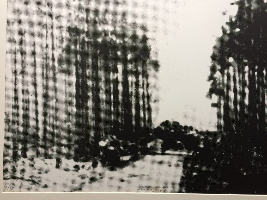 Armando, zeldzame foto-litho Schuldige Landschaft in nieuwe lijst 19/35 verkocht voor € 350!