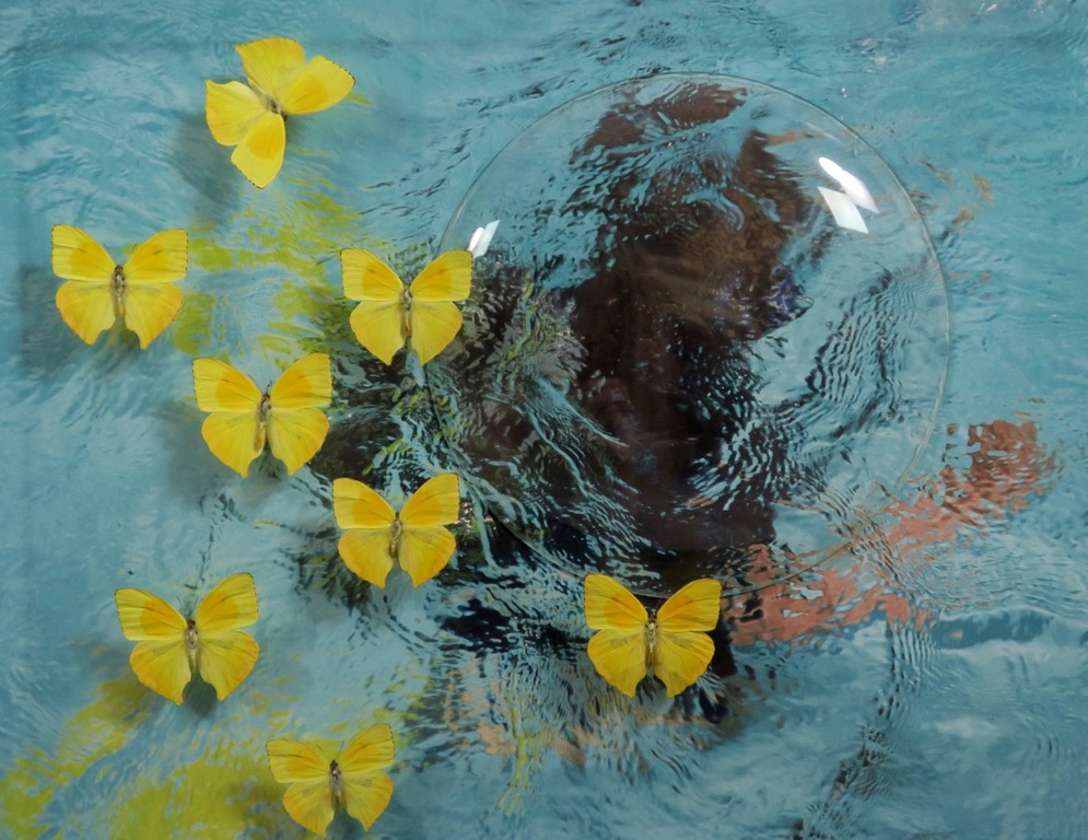 Pamela Schellekens: Kijkkastje, Wat ik nodig heb ... - Ingelijst kopen? Bied vanaf 100!