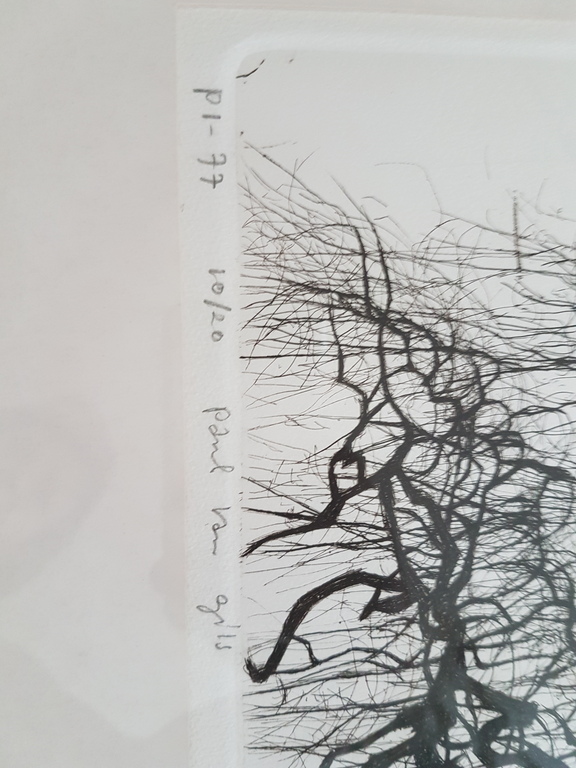 Paul van Gils: Litho, Boom kopen? Bied vanaf 200!