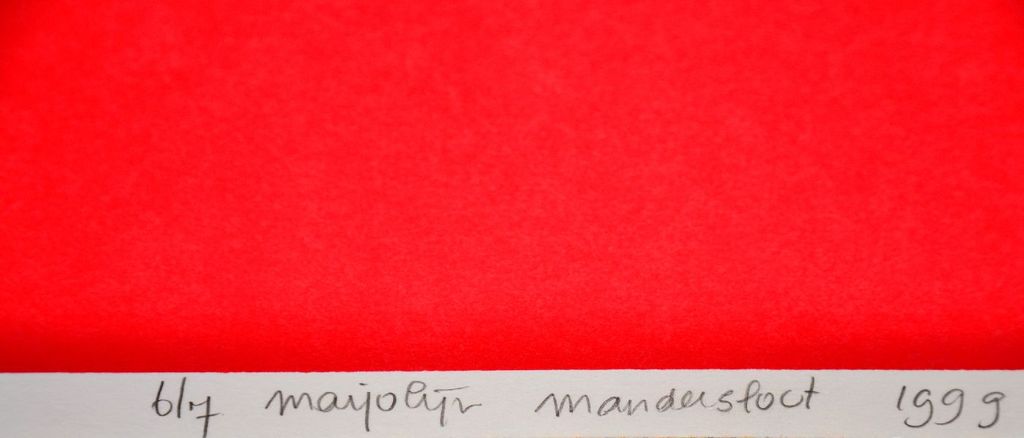 Marjolein Mandersloot: Zeefdruk. Cowboy. Zeer groot. kopen? Bied vanaf 250!