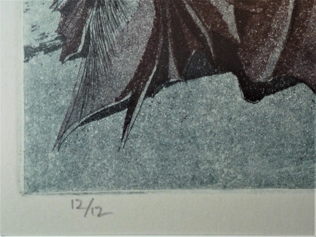 onbekend monogram; lijnets met aquatint(kleur). Twee dames aan de wandel. kopen? Bied vanaf 45!