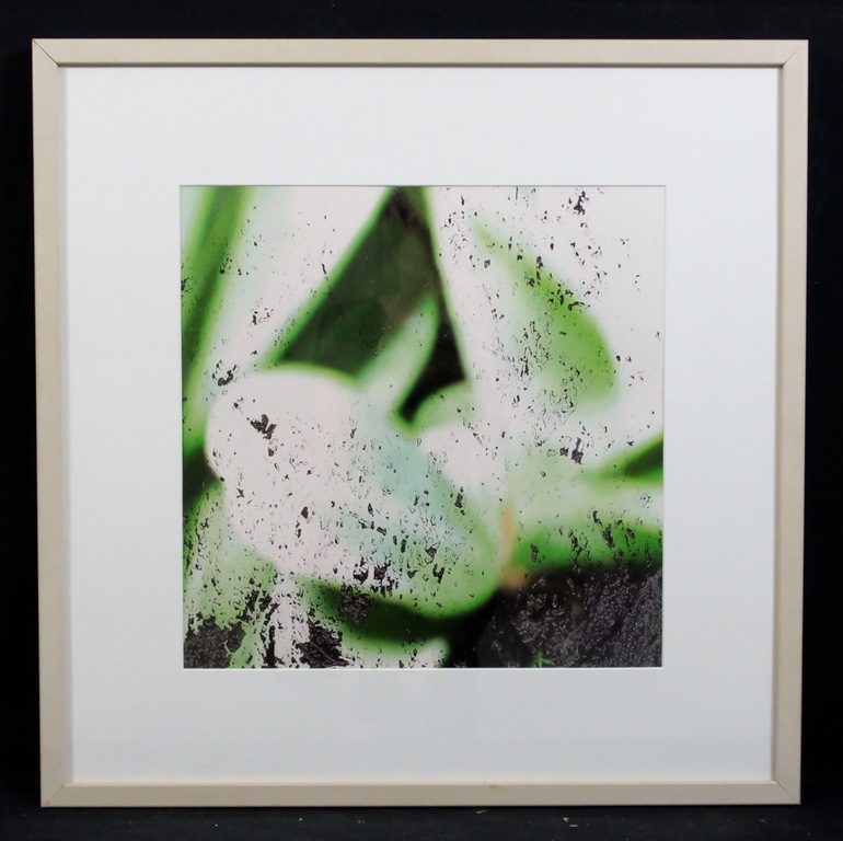Reinoud van Vught: Foto, Herbarium - Ingelijst verkocht voor € 100!