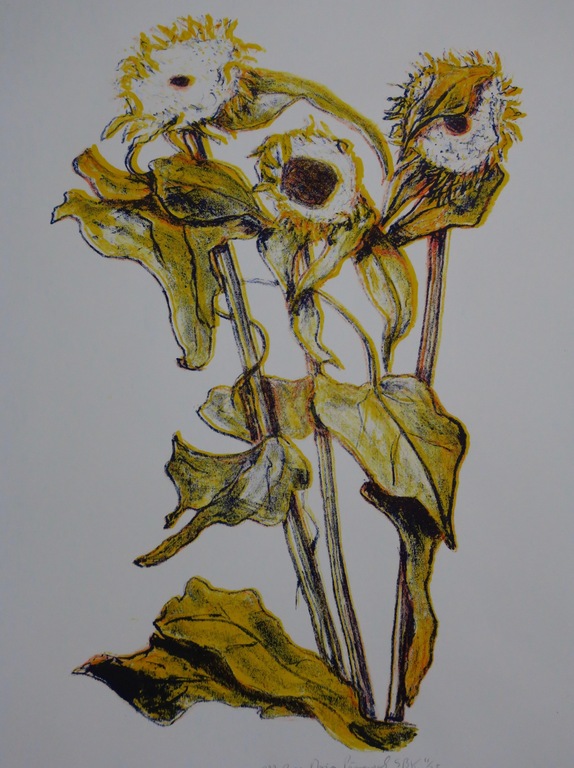 Marc Pijnappels: Litho, Zonnenbloemen kopen? Bied vanaf 1!