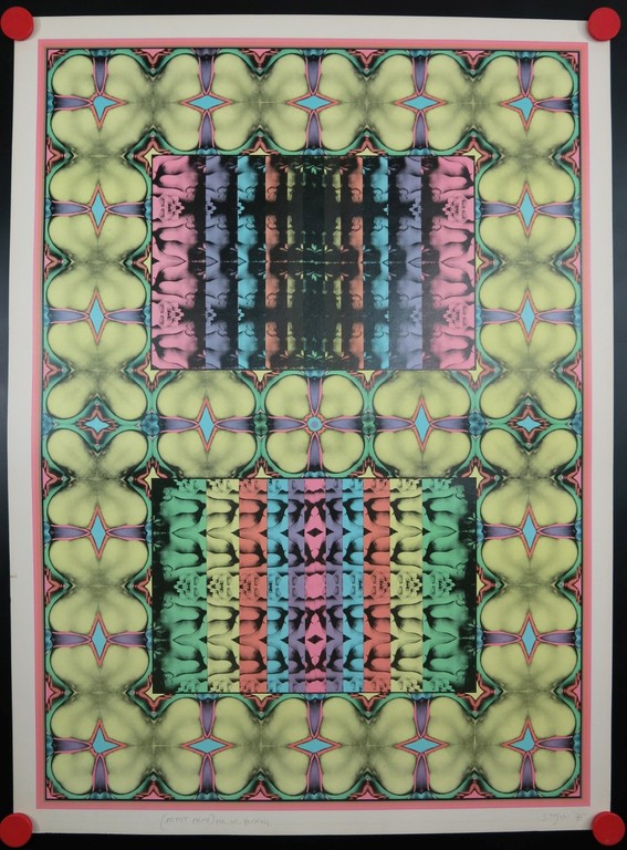 Shinkichi Tajiri: Offset, My Secret Garden No 1 kopen? Bied vanaf 70!