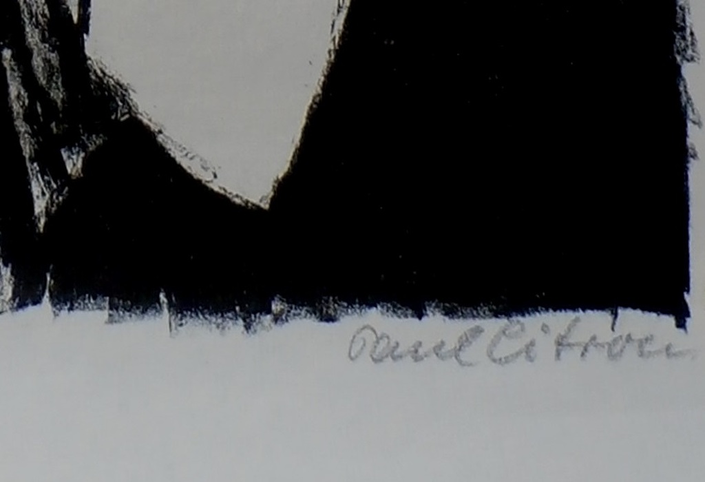 Paul Citroen - Litho  kopen? Bied vanaf 100!