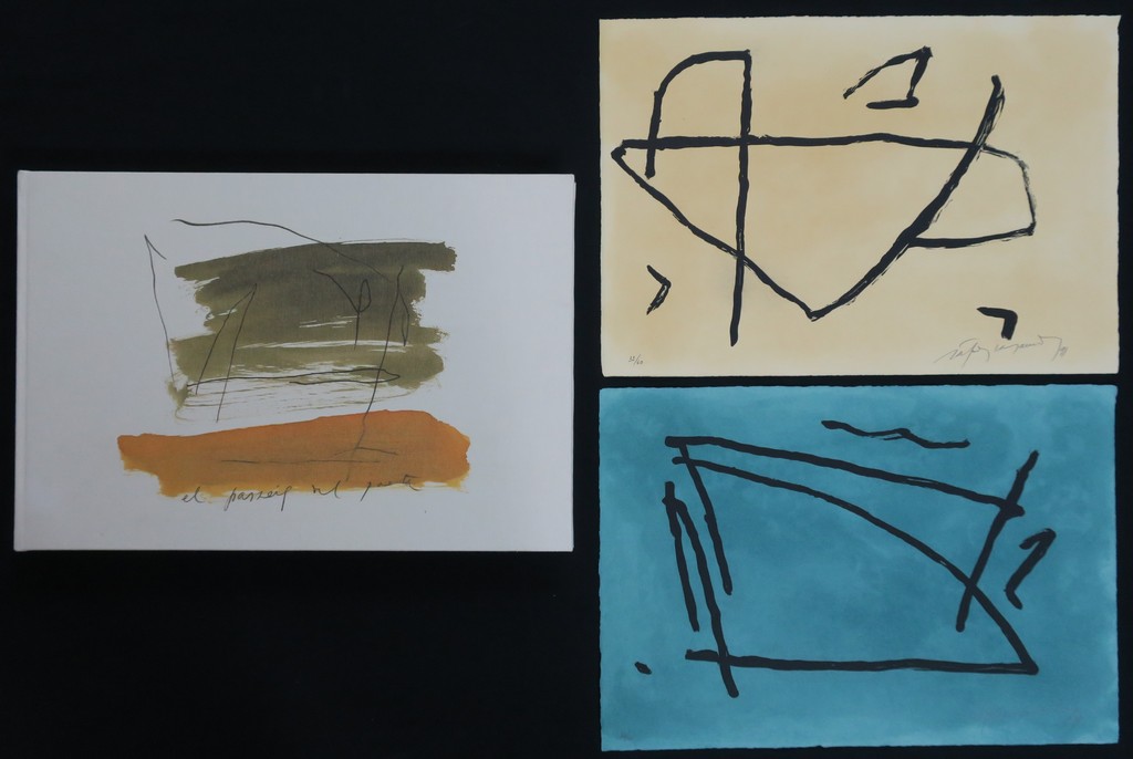 Albert Rafols Casamada (1923-2009)