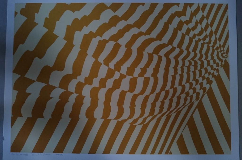 Har Sanders, zeefdruk, 800m2 in 80 dagen kopen? Bied vanaf 20!