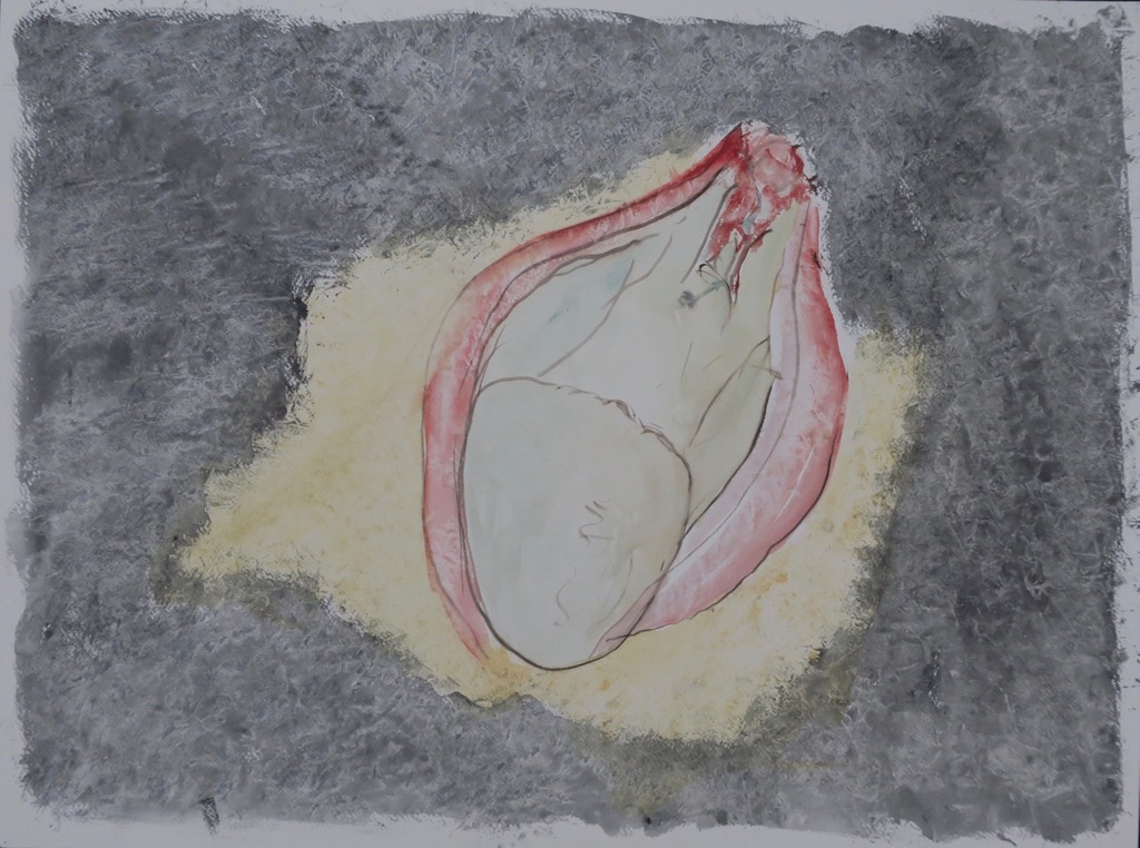 Hans Kuijs: Aquarel, Geboorte kopen? Bied vanaf 1!