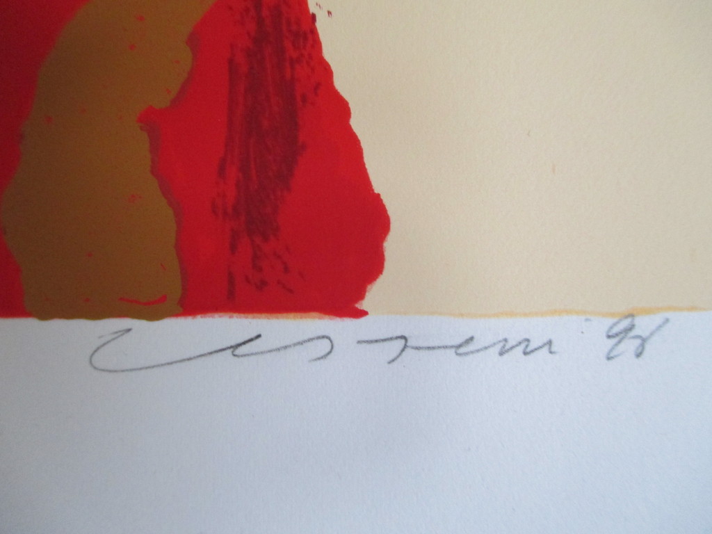 LAATSTE KEER!Henk van Vessem, zeefdruk 1996, perfecte staat kopen? Bied vanaf 30!