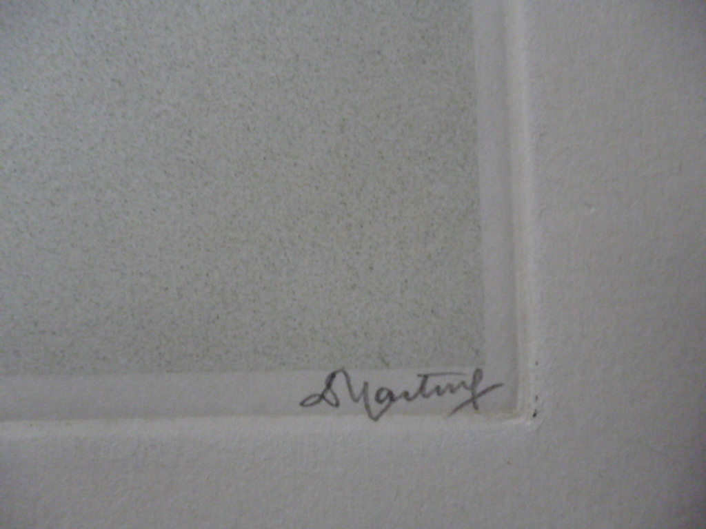 Dirk Harting - aquatint - Hangende fuchsia kopen? Bied vanaf 90!