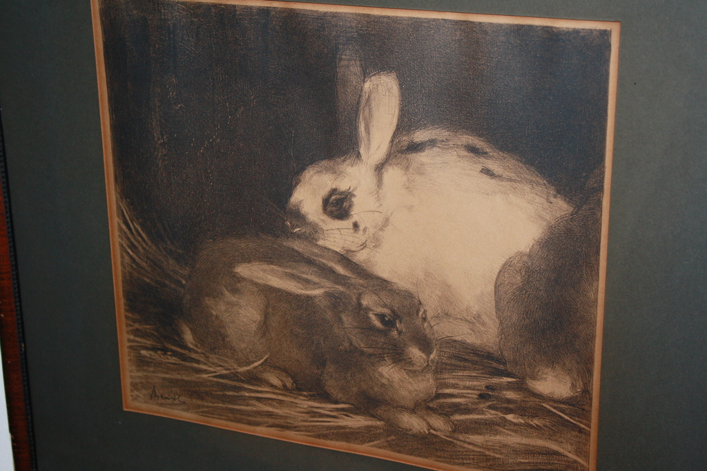 Theo Dijkwel - LITHO KONIJNEN kopen? Bied vanaf 39!