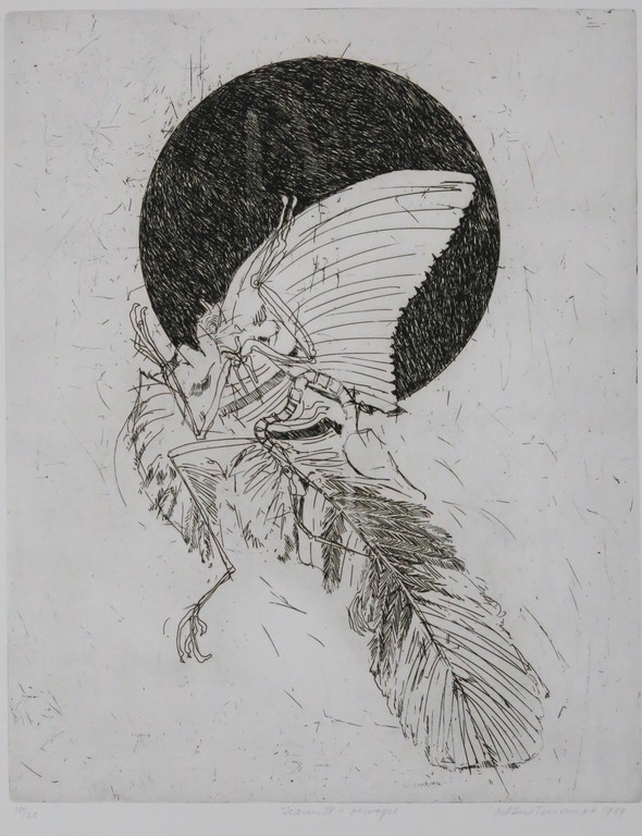 Robert Terwindt: Ets, Icarus IV - Oervogel kopen? Bied vanaf 20!