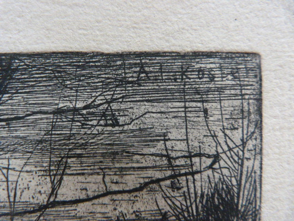 Anton L. Koster  -  twee etsen. kopen? Bied vanaf 1!