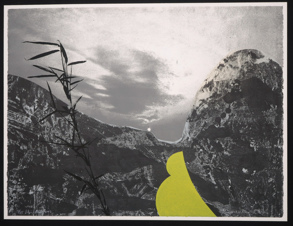 Stijn Peeters: Zeefdruk, Zonder titel kopen? Bied vanaf 1!