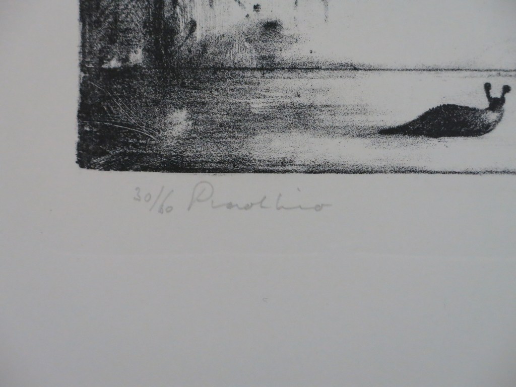 Dirkje Kuik: Litho, Pinokkio kopen? Bied vanaf 50!