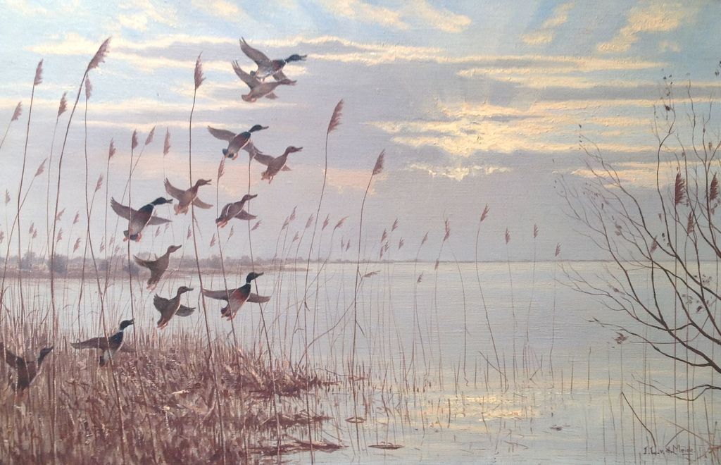 J.L. van der Meide, olie op doek, opvliegende eenden aan de plas kopen? Bied vanaf 1!