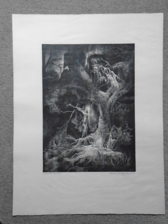 Aart van Dobbenburgh - litho - Vierde landschap kopen? Bied vanaf 40!