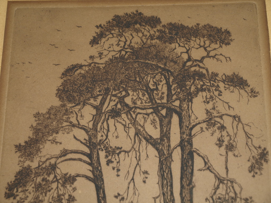 SUZE DE LINT (1878-1953) – Ets- Bomen  –Gesigneerd & ingelijst–ca 1920 kopen? Bied vanaf 45!