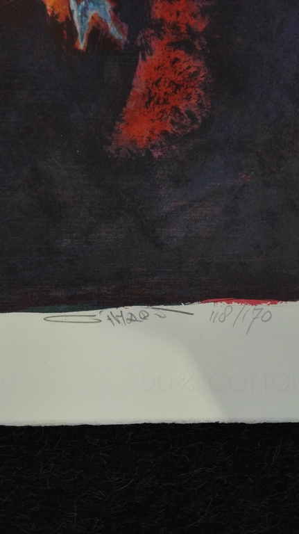 Gerard 't Hart, zeefdruk op handgeschept papier, Titel : Indiaan III kopen? Bied vanaf 35!