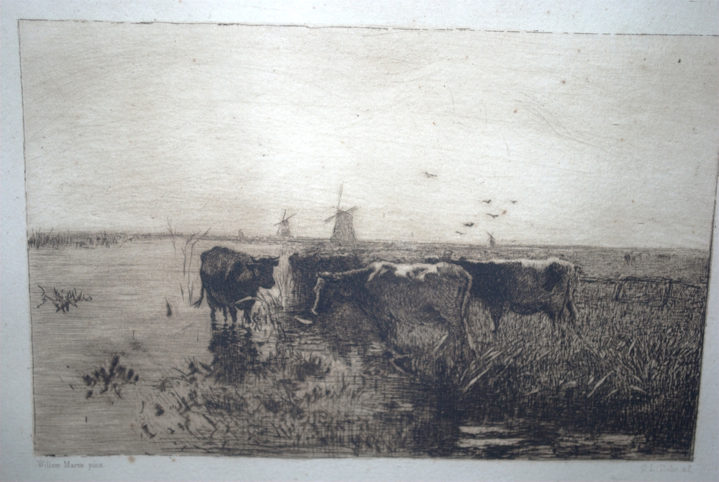 Koeien aan het water - ets verkocht voor € 40!