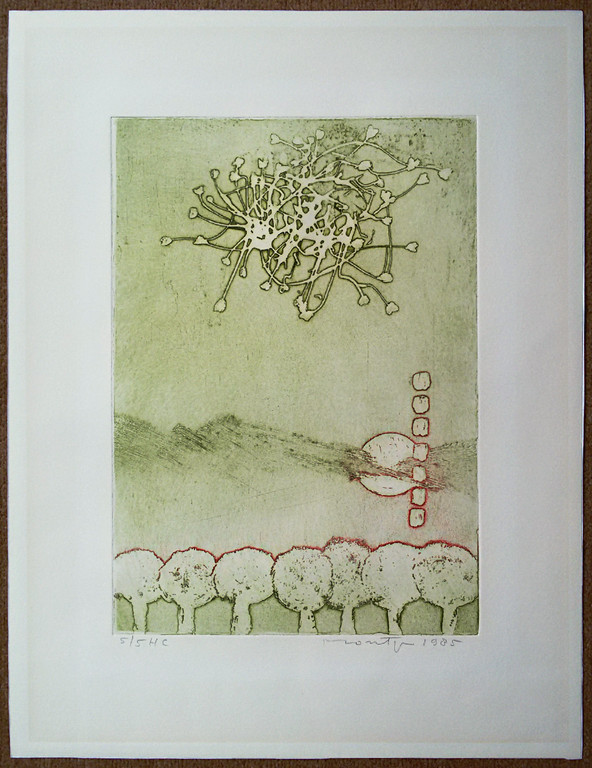 Jan Montyn - Heuvelbloemen Haute Provence, aquatint ets kopen? Bied vanaf 125!